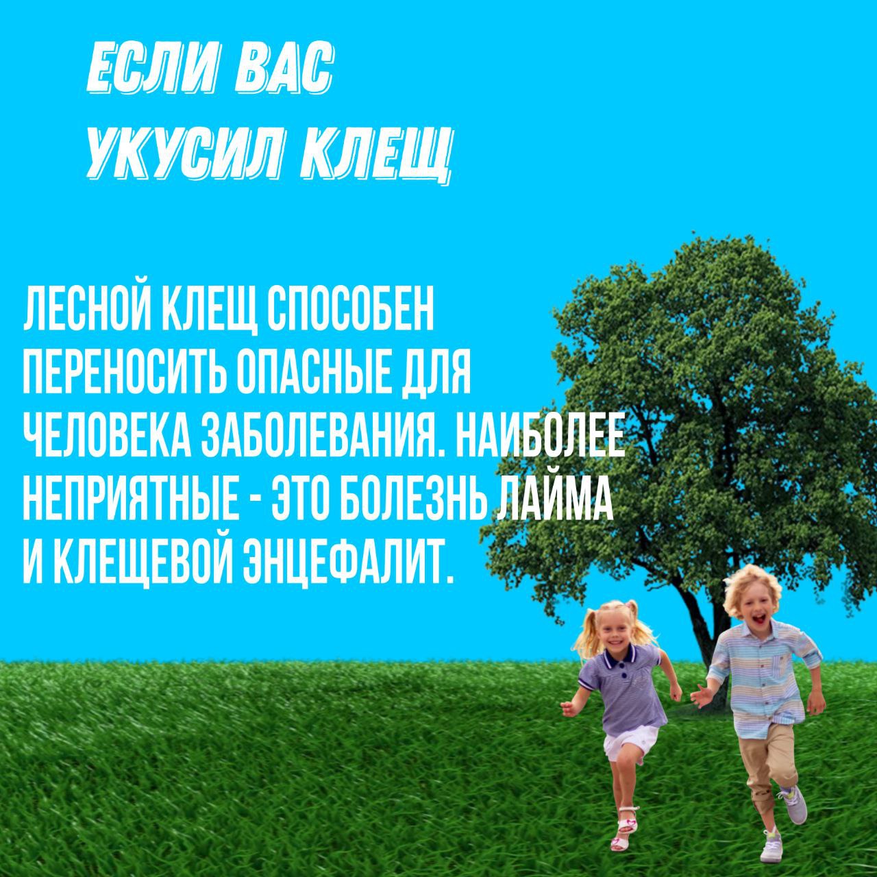 Что делать, если вас все-таки укусил клещ, читайте в наших карточках.