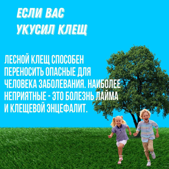 Что делать, если вас все-таки укусил клещ, читайте в наших карточках. Что делать, если вас все-таки укусил клещ, читайте в наших карточках.